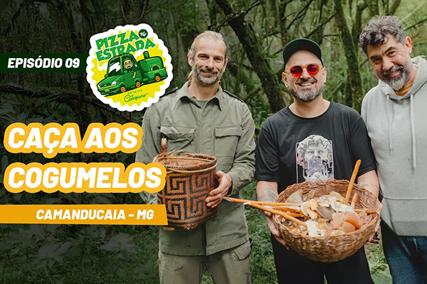 cogumelos