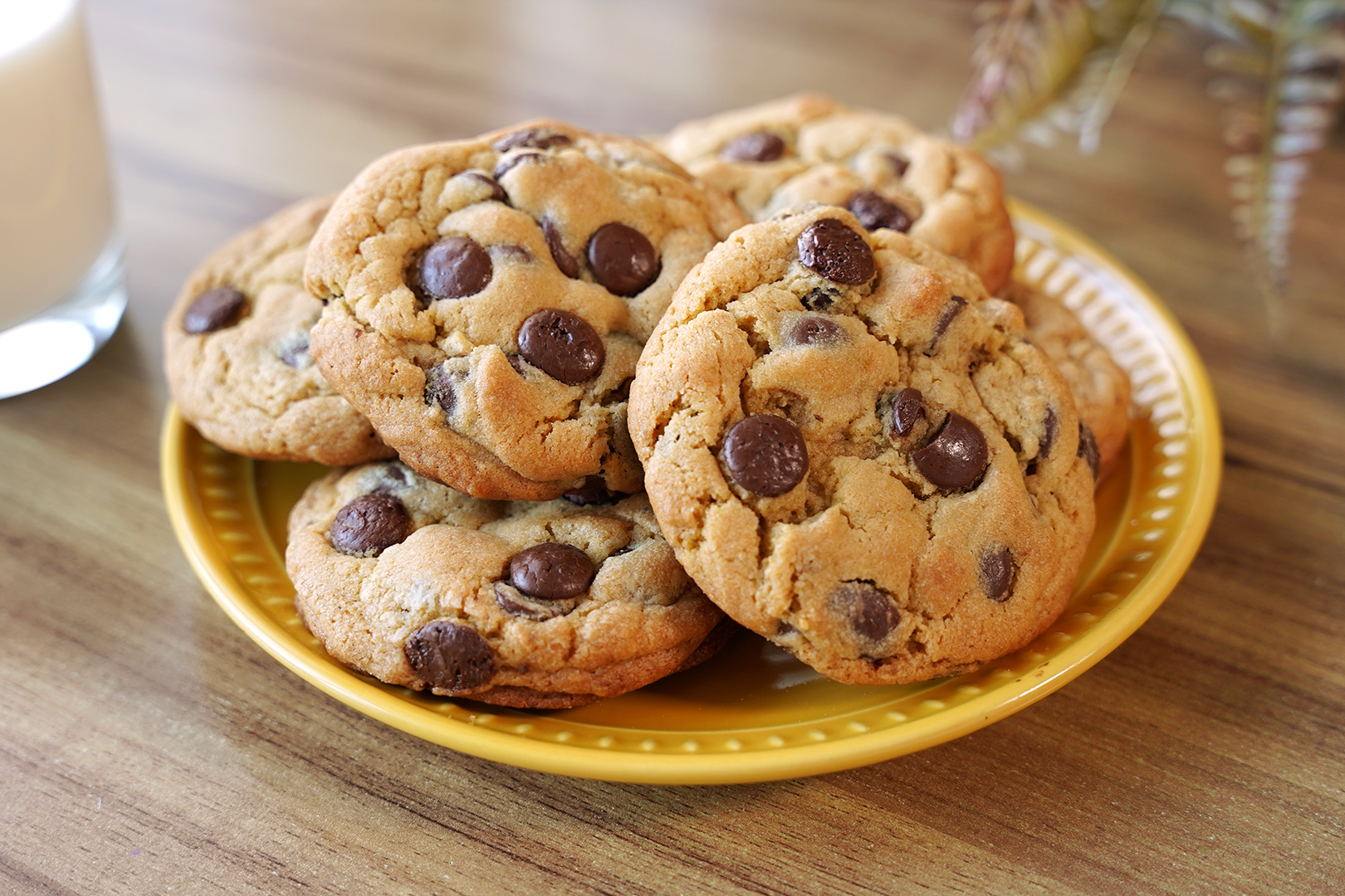 Receita de Pizza Siciliana (Sfincione)