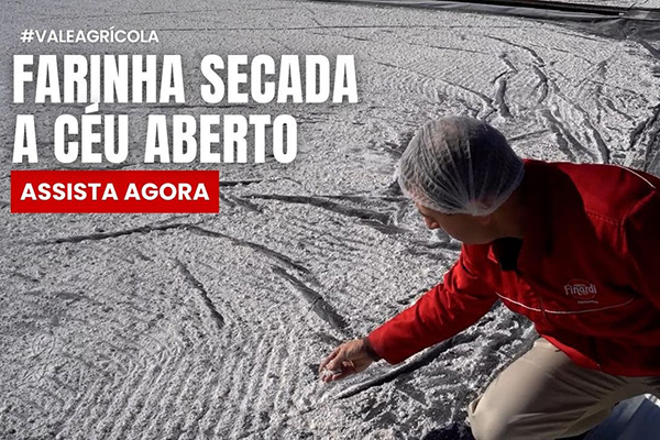 polvilho-doce