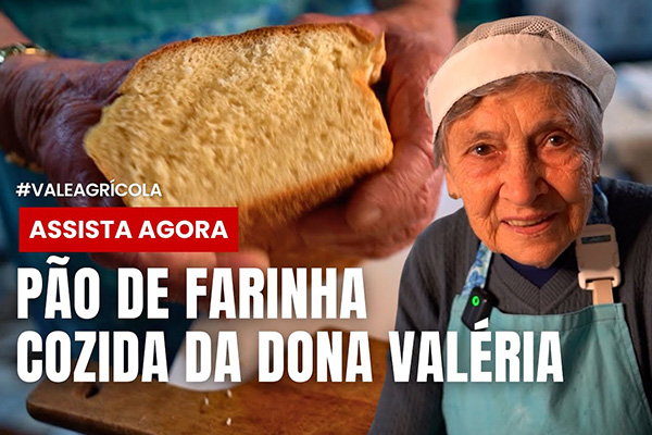pao-de-farinha-cozida